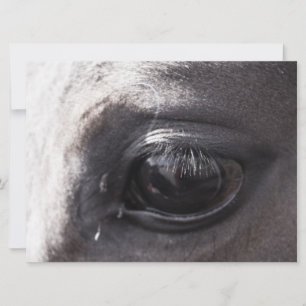 Carte Cheval Artistes Afficher les oeuvres