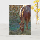 Carte Cheval au coucher du soleil, anniversaire (Fleur jaune)