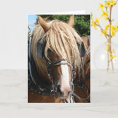 Carte Cheval belge (Fleur jaune)