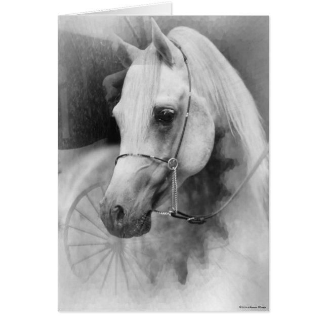 Carte Cheval Blanc (Devant)