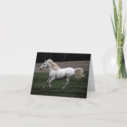 Carte Cheval blanc courant (Devant)