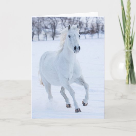Carte Cheval blanc courant dans la neige (Devant)