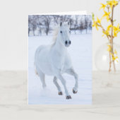 Carte Cheval blanc courant dans la neige (Fleur jaune)