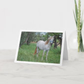 Carte Cheval Blanc dans Champ d'Herbe (Devant)