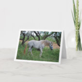 Carte Cheval Blanc dans Champ d'Herbe (Devant)