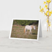 Carte Cheval Blanc dans le Champ (Fleur jaune)