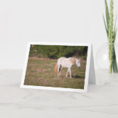 Carte Cheval Blanc dans le Champ (Devant)