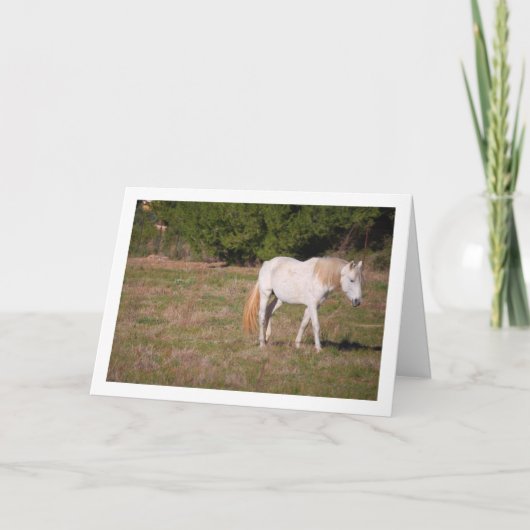 Carte Cheval Blanc dans le Champ (Devant)