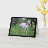 Carte Cheval blanc dans un champ d'herbe (Fleur jaune)