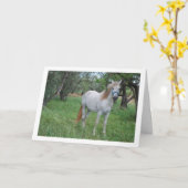 Carte Cheval blanc dans un champ d'herbe (Fleur jaune)