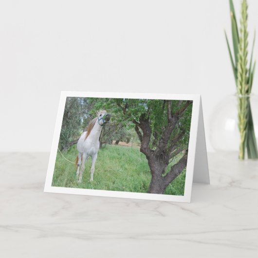 Carte Cheval blanc dans un champ d'herbe (Devant)