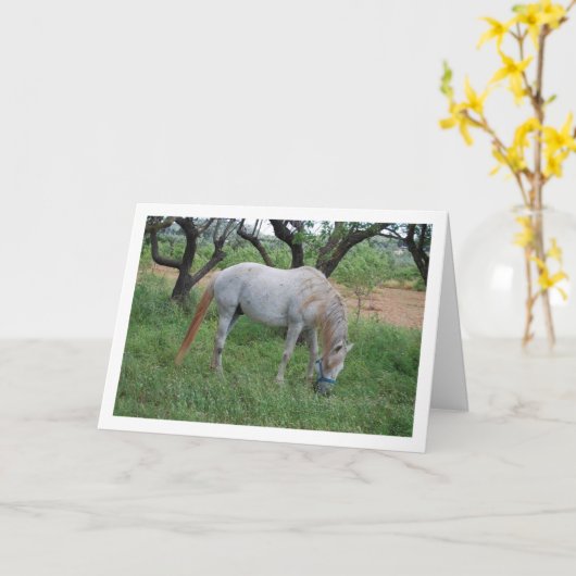 Carte Cheval blanc paissant dans un champ d'herbe (Fleur jaune)