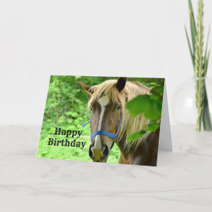 Carte Cheval Brown Belge Photo d'anniversaire