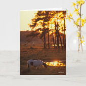 Carte Cheval Chincoteague Bob Langrish Pâturage Au Couch (Fleur jaune)