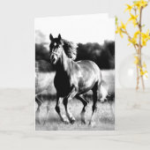 Carte Cheval courant de B&W (Fleur jaune)