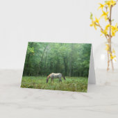 Carte Cheval dans le pré (Fleur jaune)