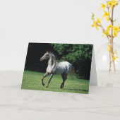 Carte Cheval d'Appaloosa courant 2 (Fleur jaune)