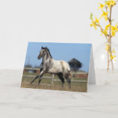 Carte Cheval d'Appaloosa courant 3 (Fleur jaune)
