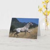 Carte Cheval d'Appaloosa courant la montagne (Fleur jaune)