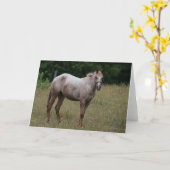 Carte Cheval d'Appaloosa se tenant dans l'herbe (Fleur jaune)