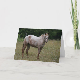 Carte Cheval d'Appaloosa se tenant dans l'herbe