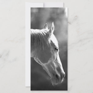 Carte Cheval d'art pop noir et blanc