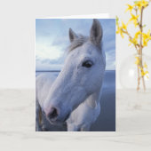 Carte Cheval de Camargue (Fleur jaune)