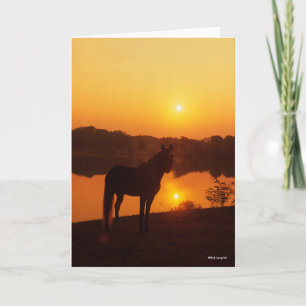 Carte Cheval de montagne rocheux debout au coucher du so
