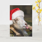 Carte Cheval de Noël (Fleur jaune)