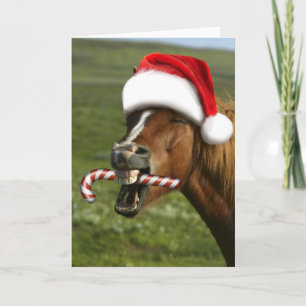 Carte Cheval de Noël drôle avec un chapeau de Père Noël