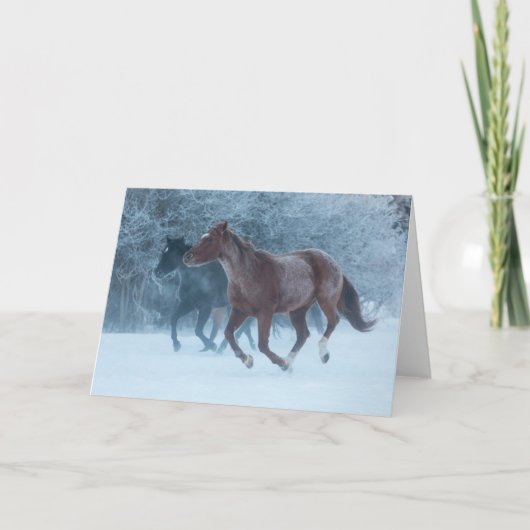 Carte Cheval Drive (Devant)
