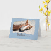 Carte Cheval drôle : Relax (Fleur jaune)