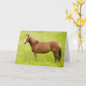 Carte Cheval en champ de printemps (Fleur jaune)