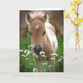 Carte Cheval et marguerites (Fleur jaune)