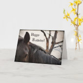 Carte Cheval foncé Bonne fête d'anniversaire (Fleur jaune)