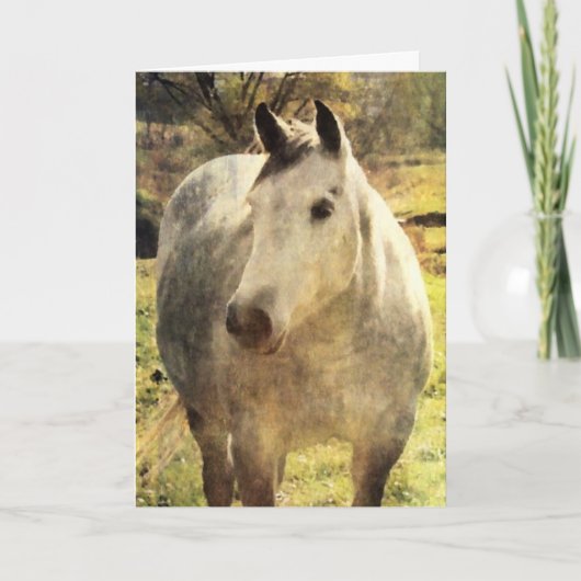 Carte Cheval gris Anniversaire (Devant)