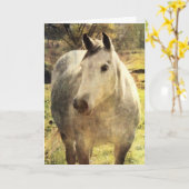 Carte Cheval gris Anniversaire (Fleur jaune)