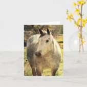 Carte Cheval gris Anniversaire (Fleur jaune)