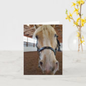 Carte Cheval "Hi" (Fleur jaune)