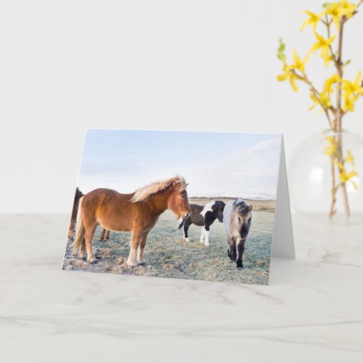 Carte Cheval islandais en hiver en Islande (Fleur jaune)