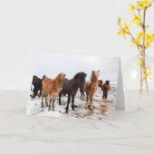 Carte Cheval islandais en hiver Islande (Fleur jaune)