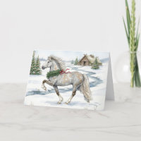 Cheval islandais festif dans un paysage hivernal