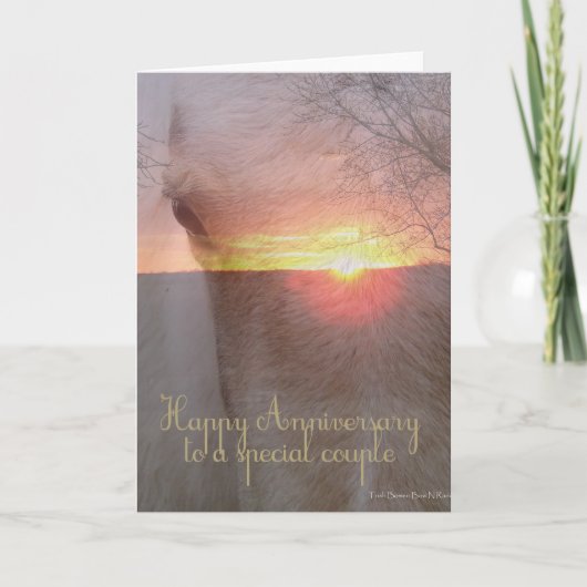 Carte Cheval Joyeux Anniversaire (Devant)