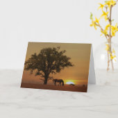 Carte Cheval Joyeux Anniversaire Belle journée avec Oak (Fleur jaune)