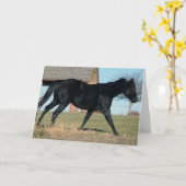 Carte Cheval noir nommé Jack (Fleur jaune)