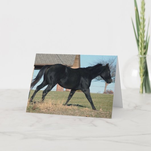 Carte Cheval noir nommé Jack (Devant)