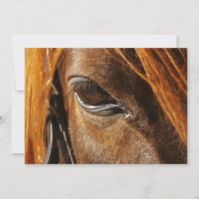 Carte Cheval oeil (Devant)