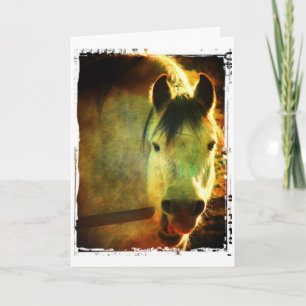 Carte Cheval qui rit, Anniversaire
