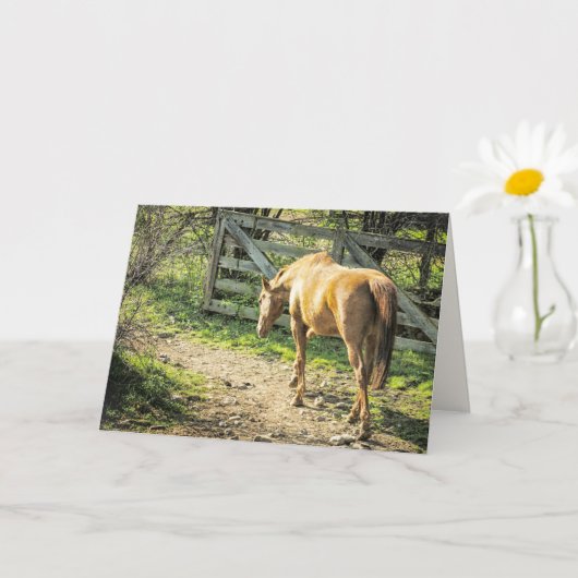 Carte Cheval rustique de ferme (Petite plante)