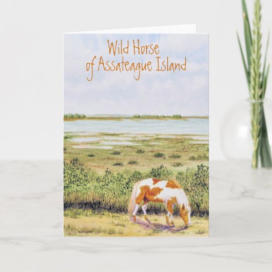Carte Cheval sauvage de l'île d'Assateague (Devant)